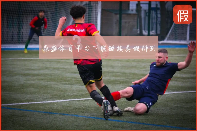 森盛体育平台下载链接真假辨别